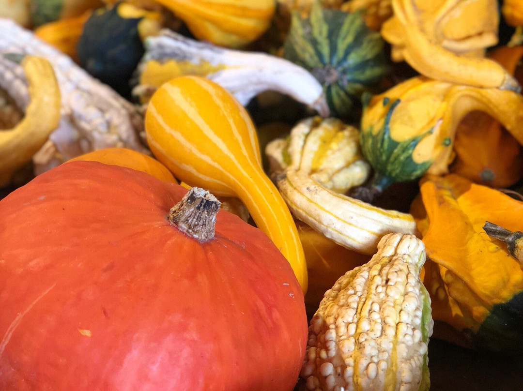 Dutton Berry Farm-Newfane必去景点