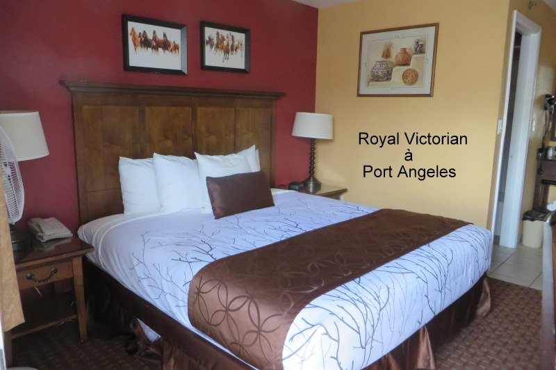 Royal Victorian Motel主图