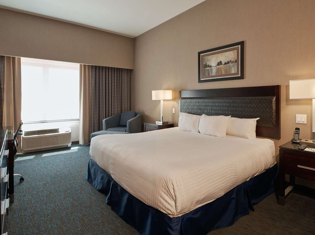 Wingate by Wyndham Chihuahua主图