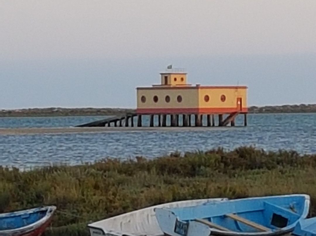 Ilha da Fuzeta景点图片