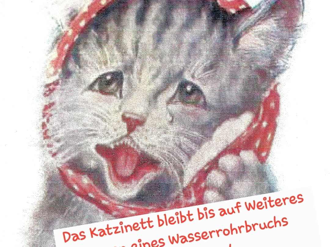 Katzinett - Katzenmuseum Ludwigshafen - Cat Museum景点图片