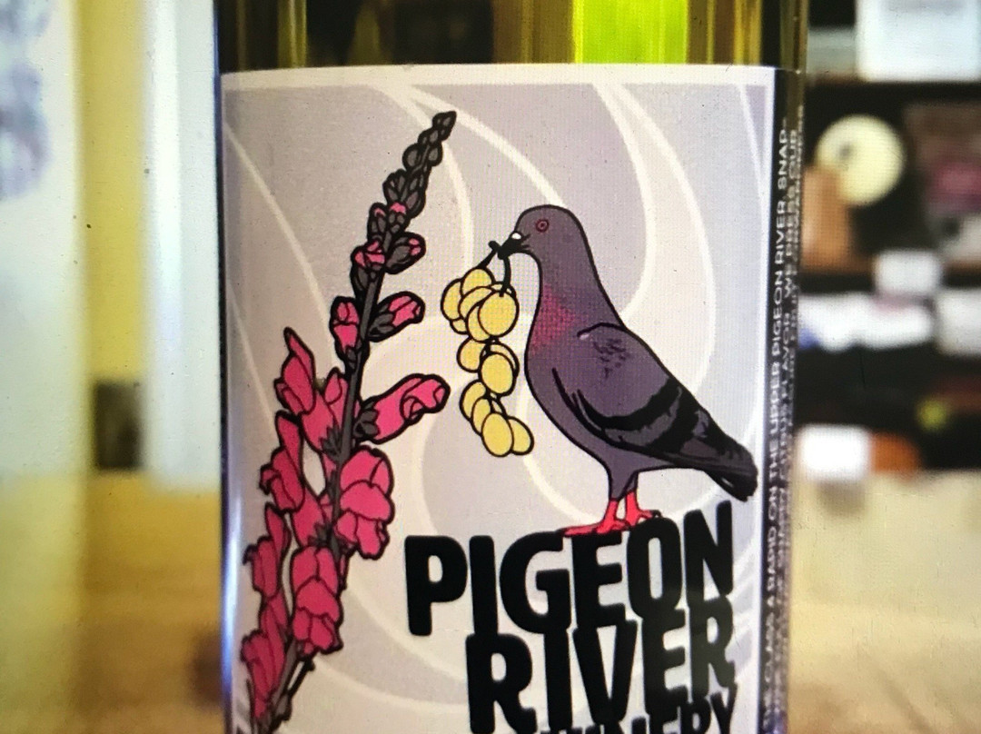 Pigeon River Winery景点图片