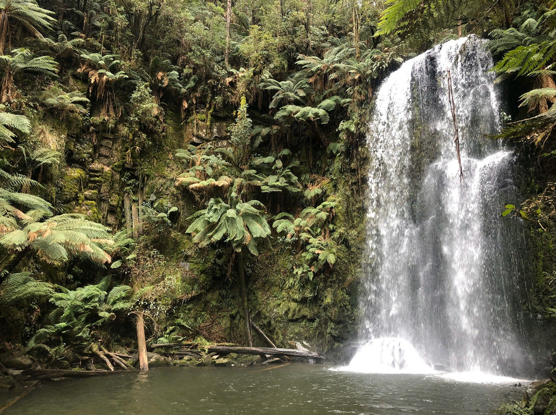 Beauchamp Falls-Beech Forest必去景点