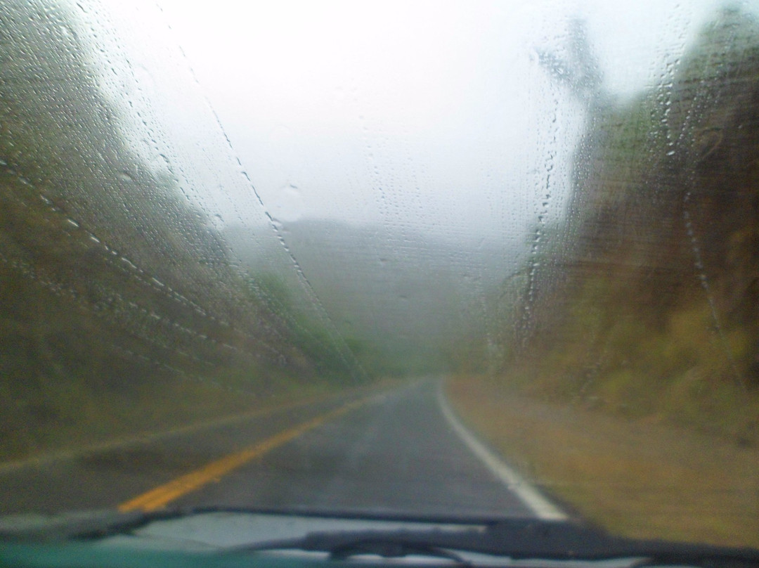 Quebrada de la Cebila