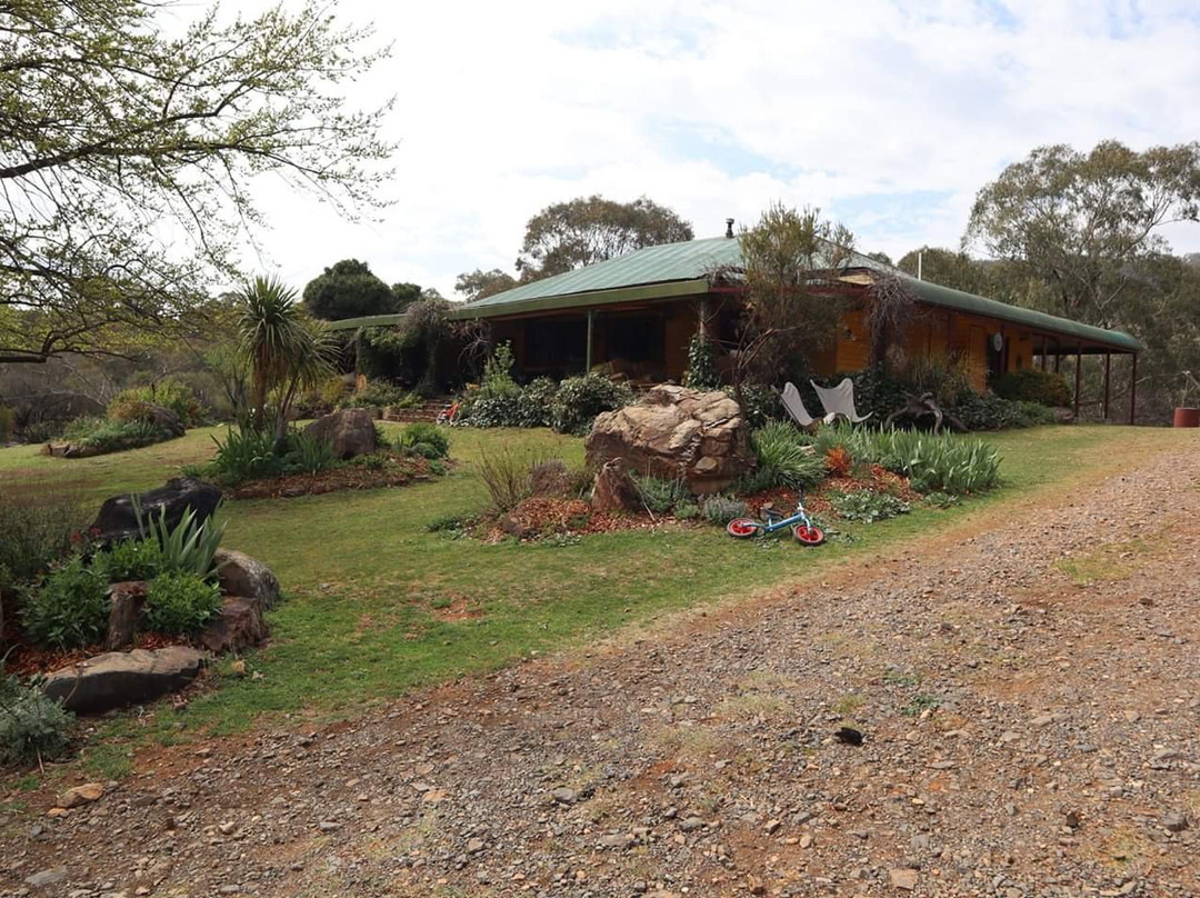 Chesleigh Homestead主图