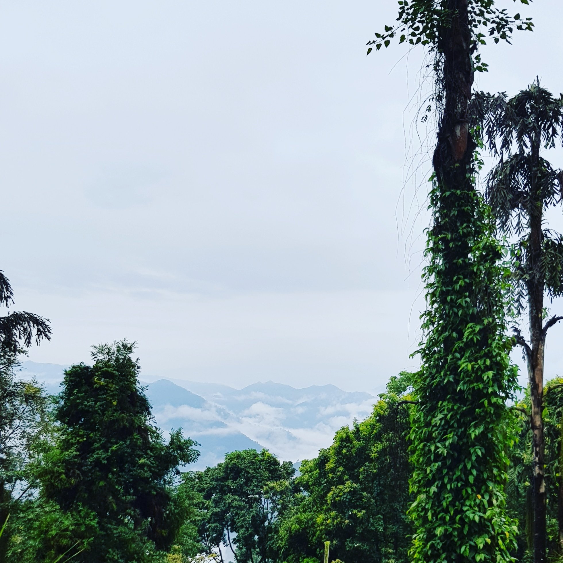 Mystic Orchid Retreat-酒店景观