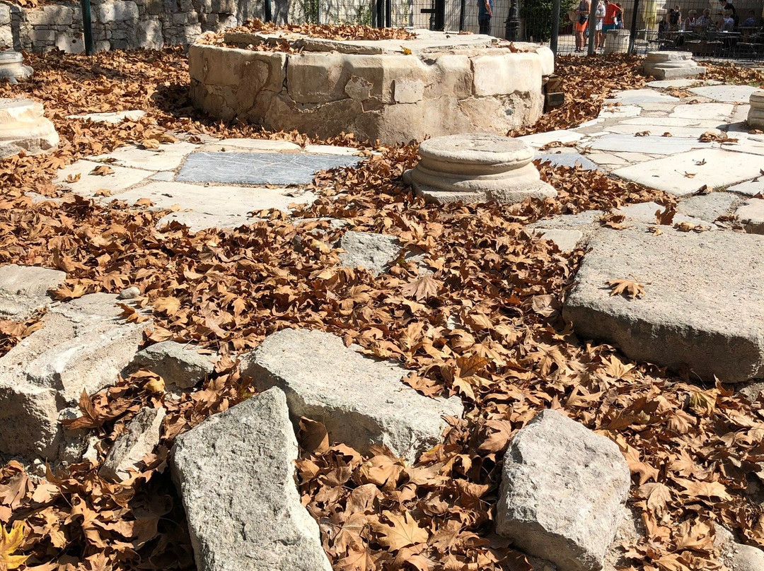 mosque lotzias-Kos Town必去景点