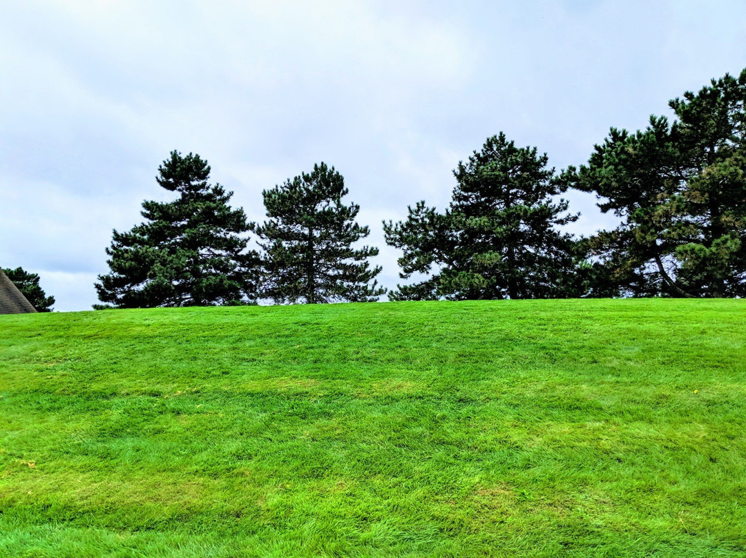 Lake Erie Metropark景点图片