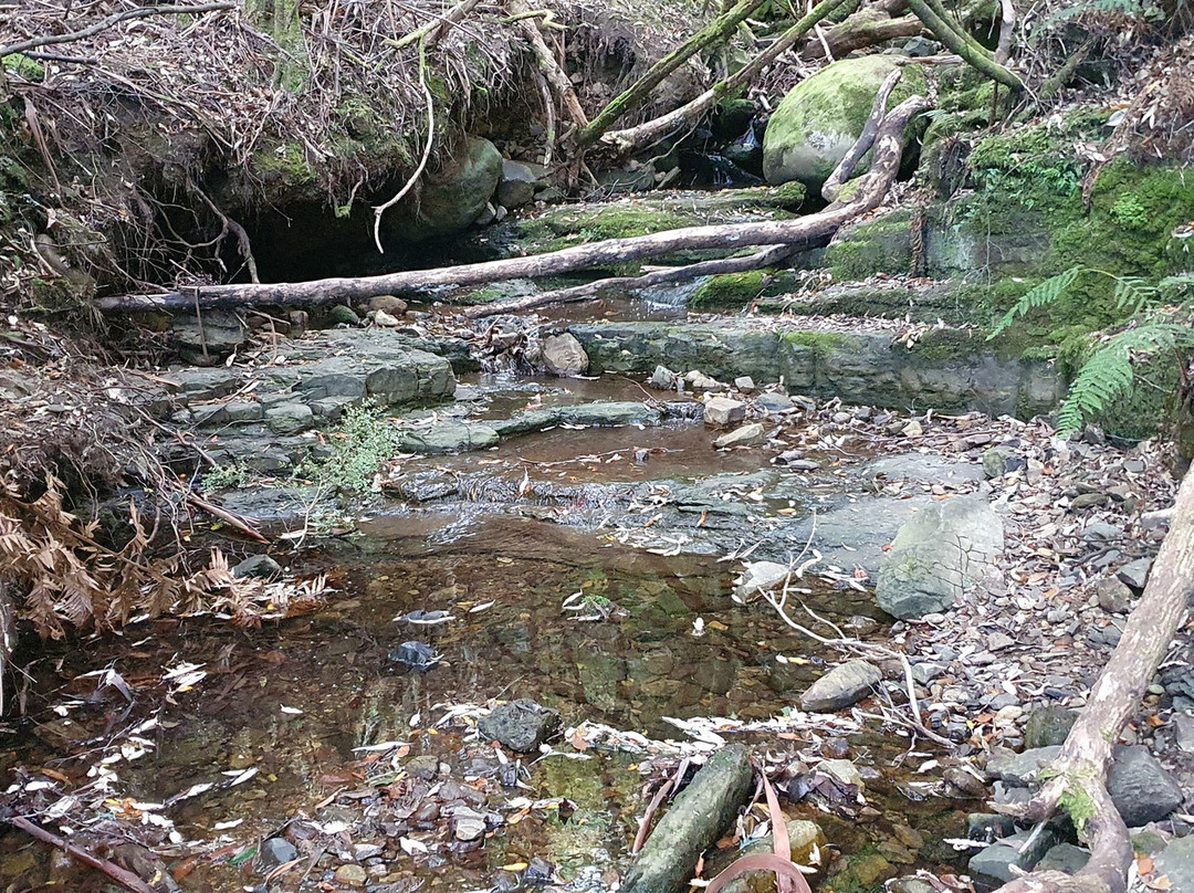 O'Grady's Falls Aka Oates Falls-Wellington Park必去景点