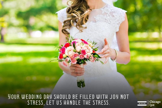 Chicago Lux-芝加哥必去景点