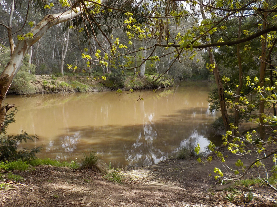 Alphington Wetlands景点图片