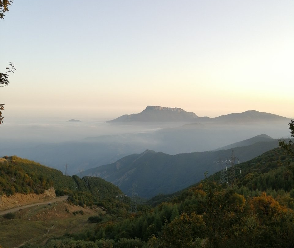Abr Forest景点图片