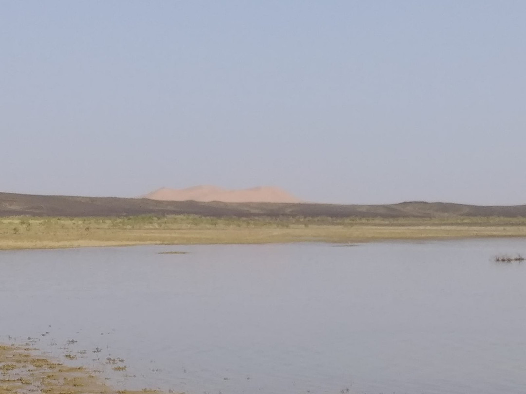 The Lake of Merzouga景点图片
