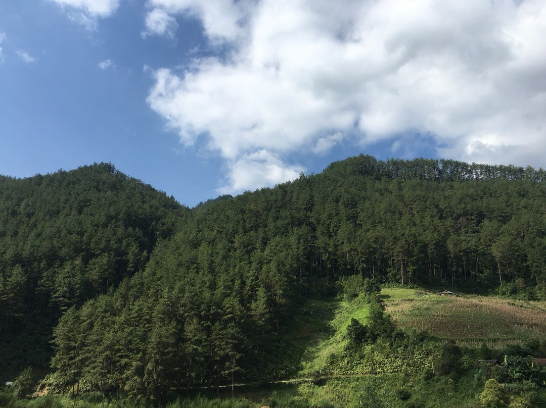 Indigenous Homestay主图