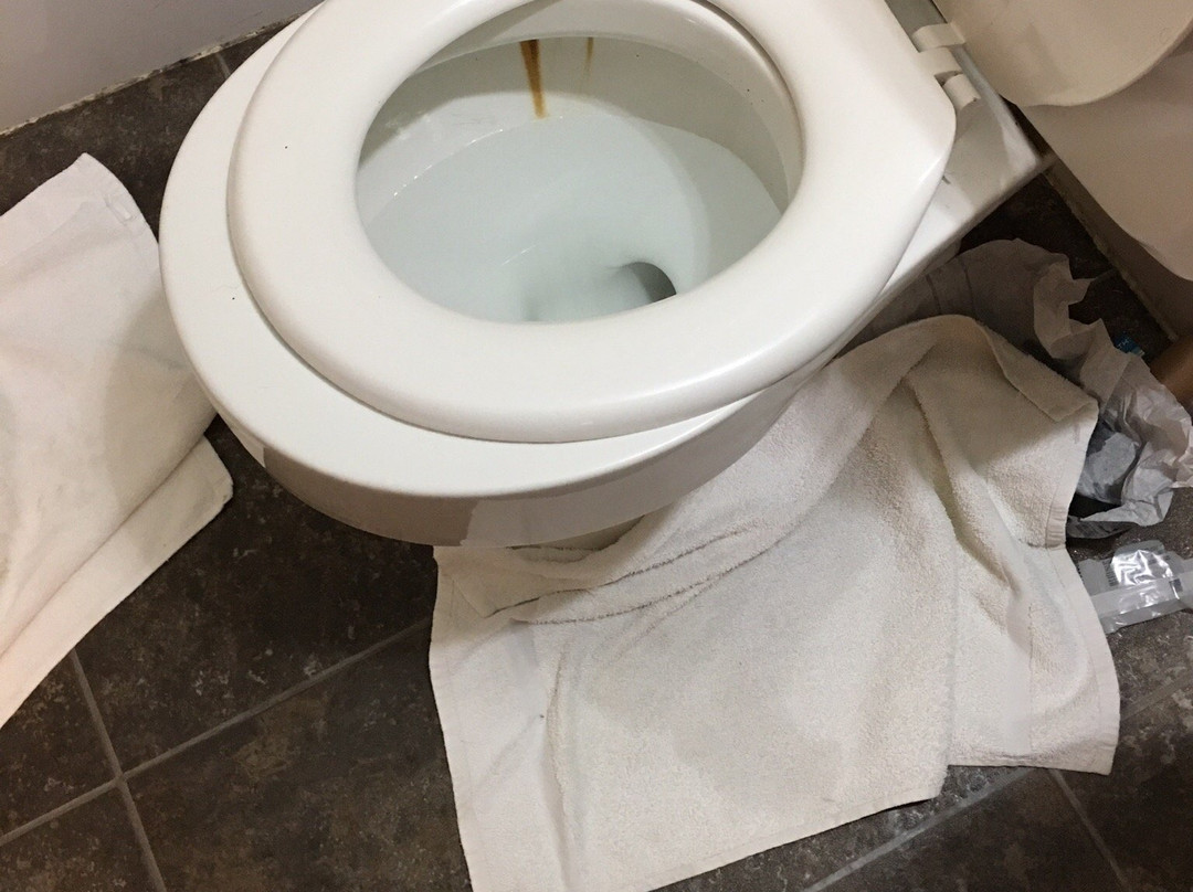 Seven Oakes Motel主图