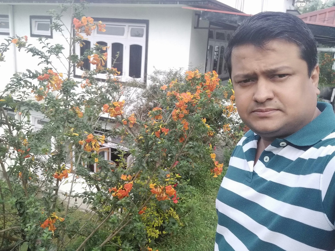 Green Leaf Resort主图