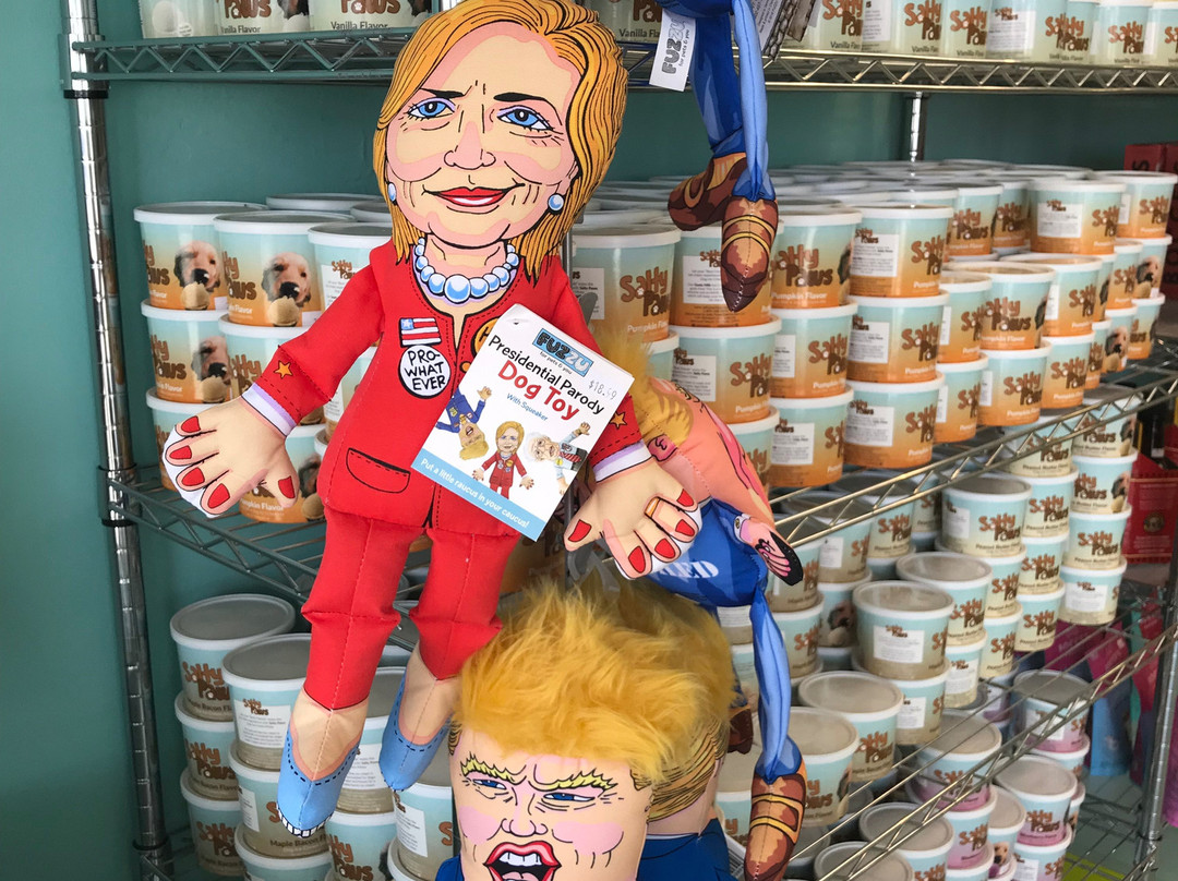 Salty Paws-里霍博斯比奇必去景点