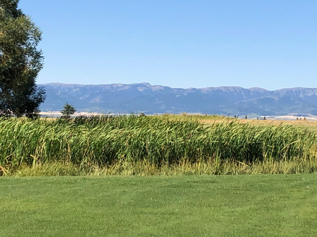 Targhee Village Golf Course-Alta必去景点