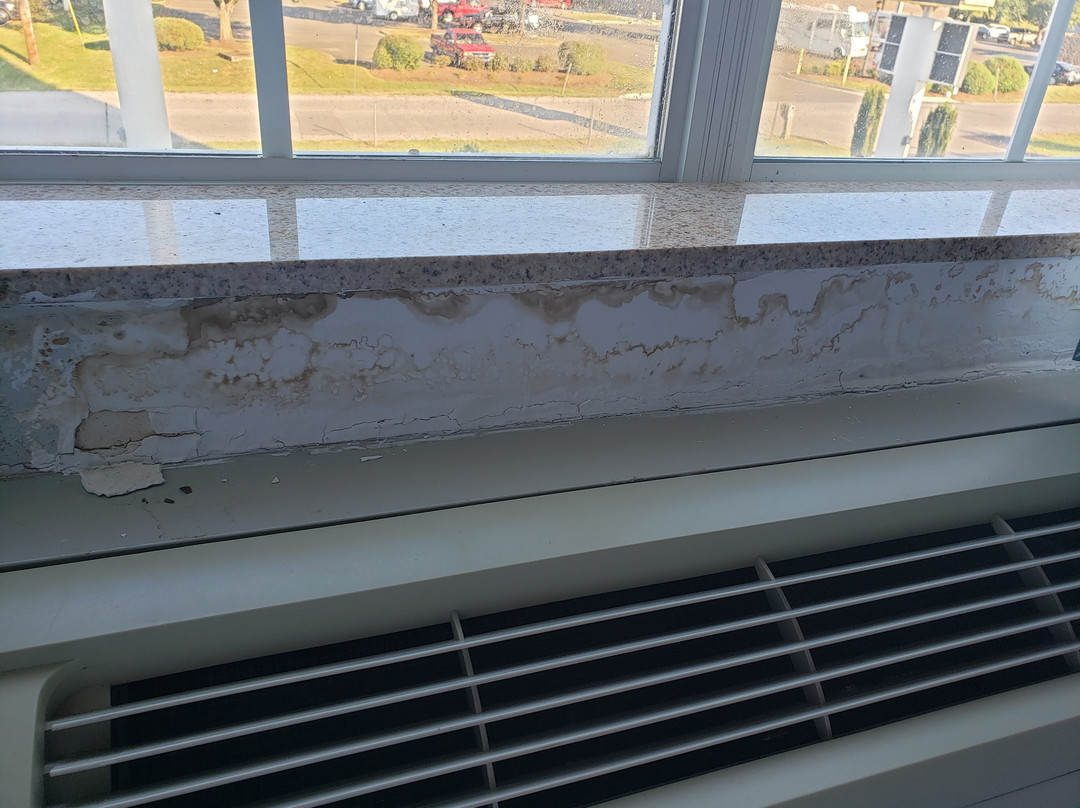 La Quinta Inn & Suites by Wyndham Bowling Green主图