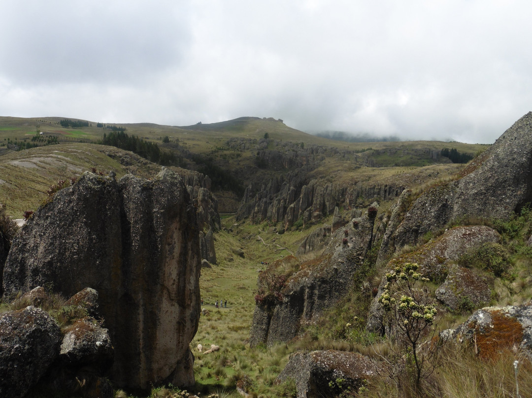 Santa Teresa District旅游攻略图片