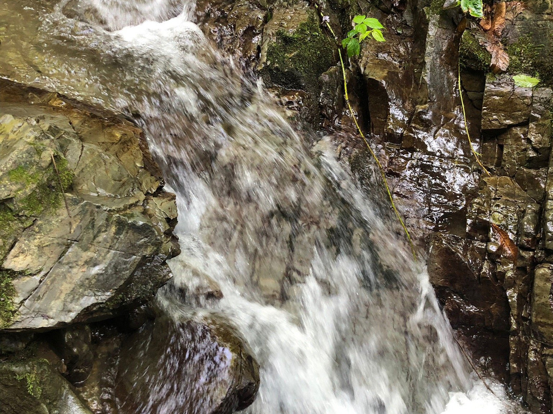 National Park Kintrishi-Kobuleti必去景点