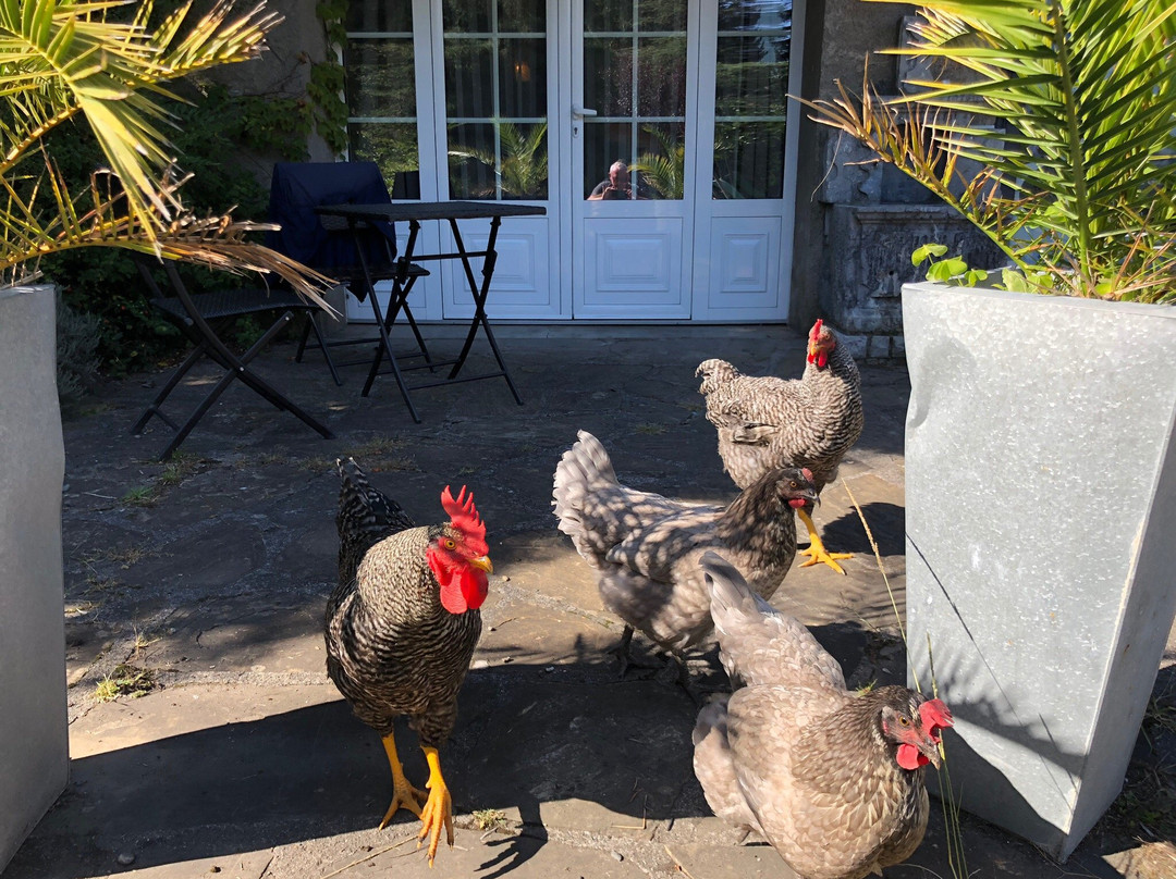 La Grange de Thalie主图