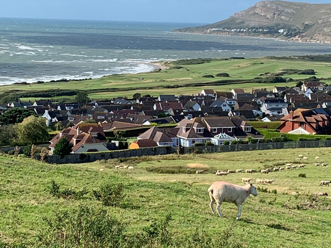 Deganwy Castle景点图片