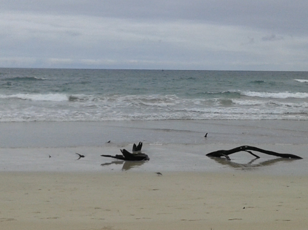 Playa Puerto Villamil景点图片