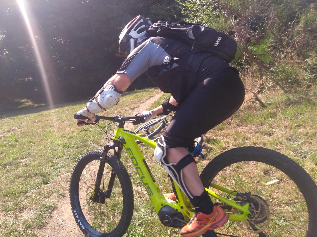 Monta in Bike-卢加诺必去景点