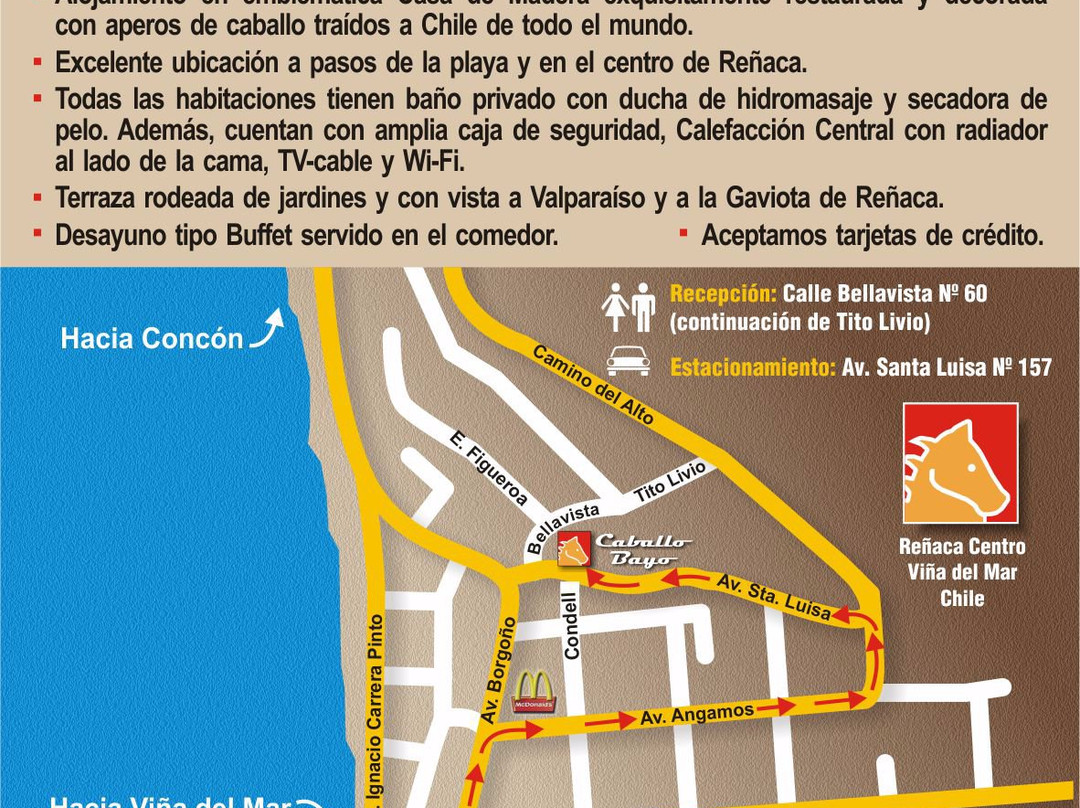 B & B Caballo Bayo主图