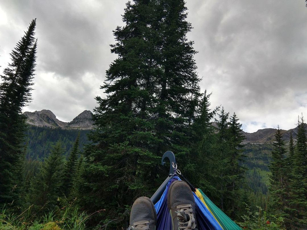 Mount Fernie Provincial Park景点图片
