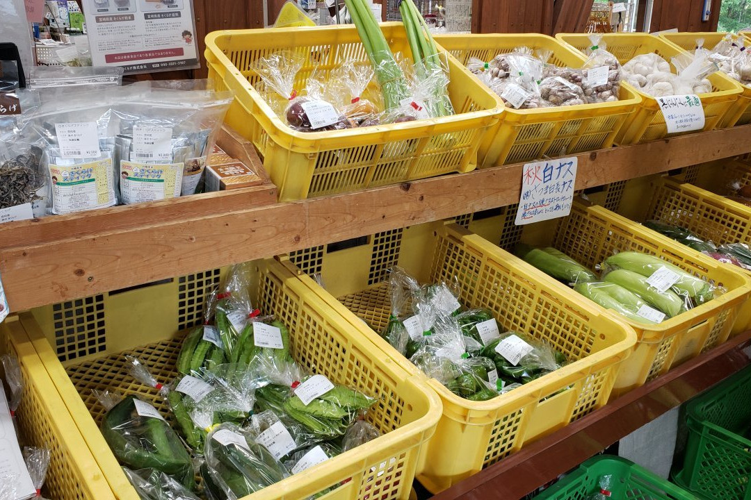 Yamanokuchi Michi-no-Eki-都城市必去景点