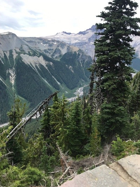 Nature Nuts Adventure Travel-西雅图必去景点