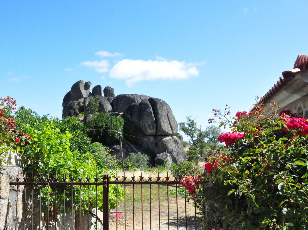 Ruínas do Castelo de Moreira de Rei景点图片