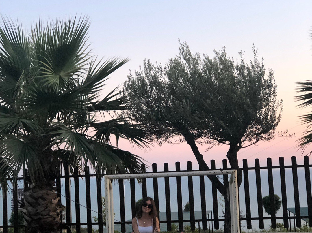 Kodra e Kuajve主图