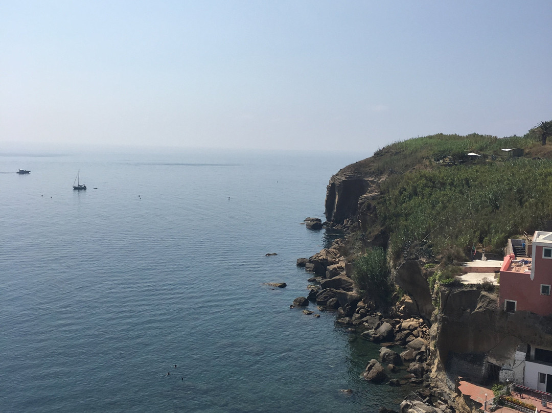 Hotel Villa Iulia主图