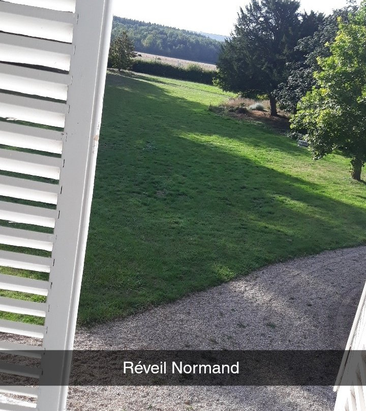 Château De Boscherville主图