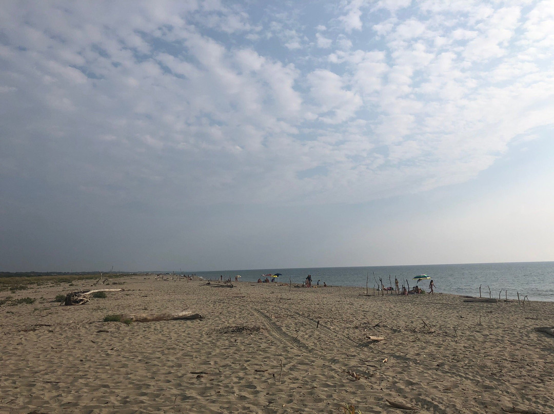 Spiaggia della Lecciona景点图片