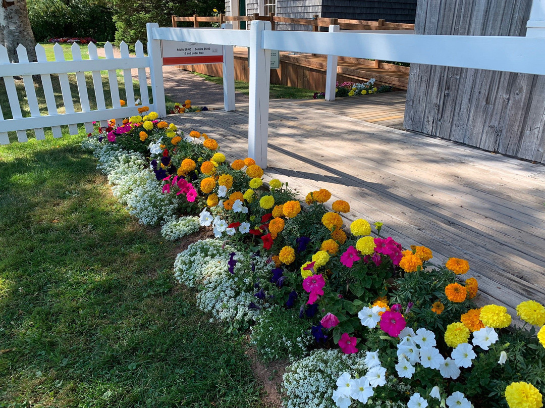 L.M. Montgomery's Cavendish National Historic Site of Canada-卡文迪西必去景点