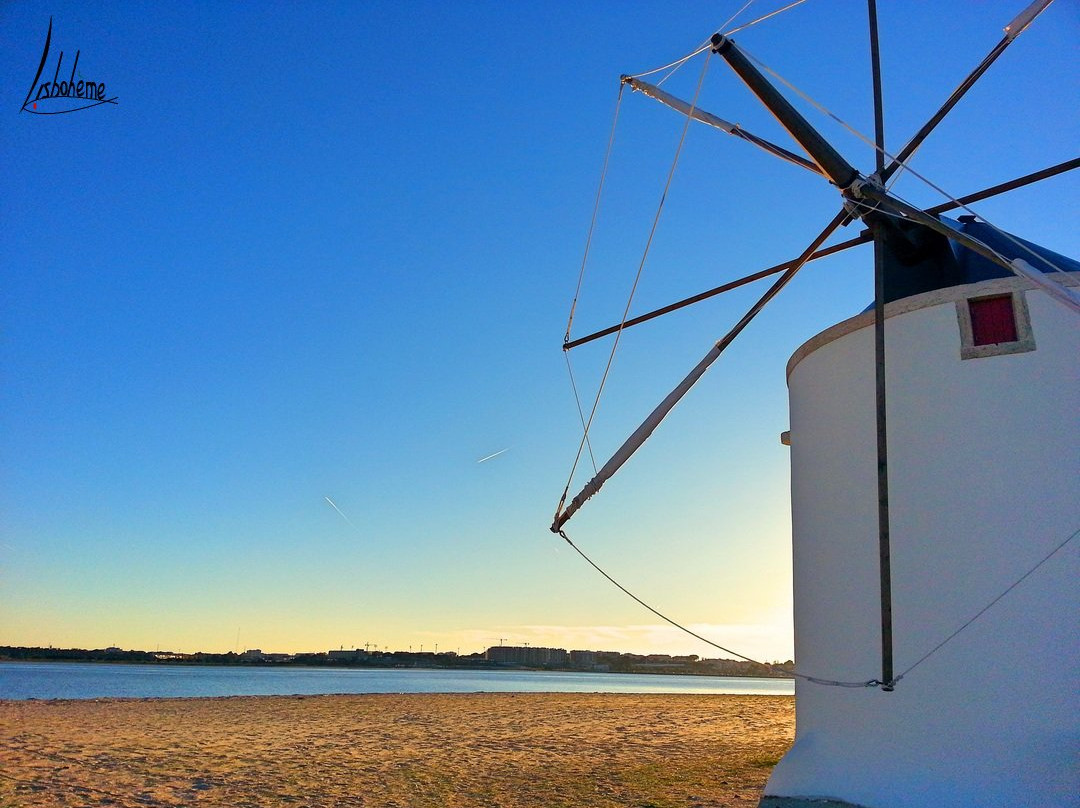 Praia de Alburrica景点图片