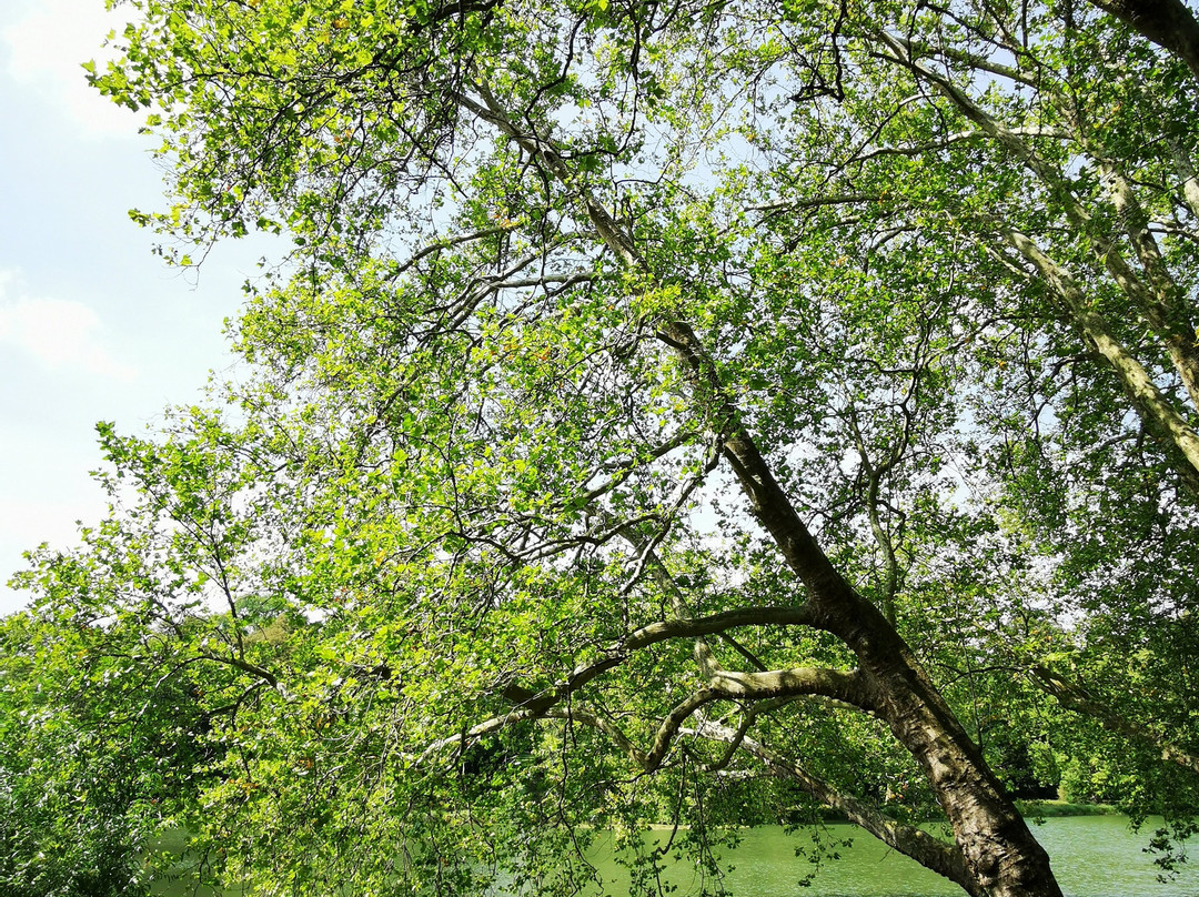 Parc Rousseau景点图片