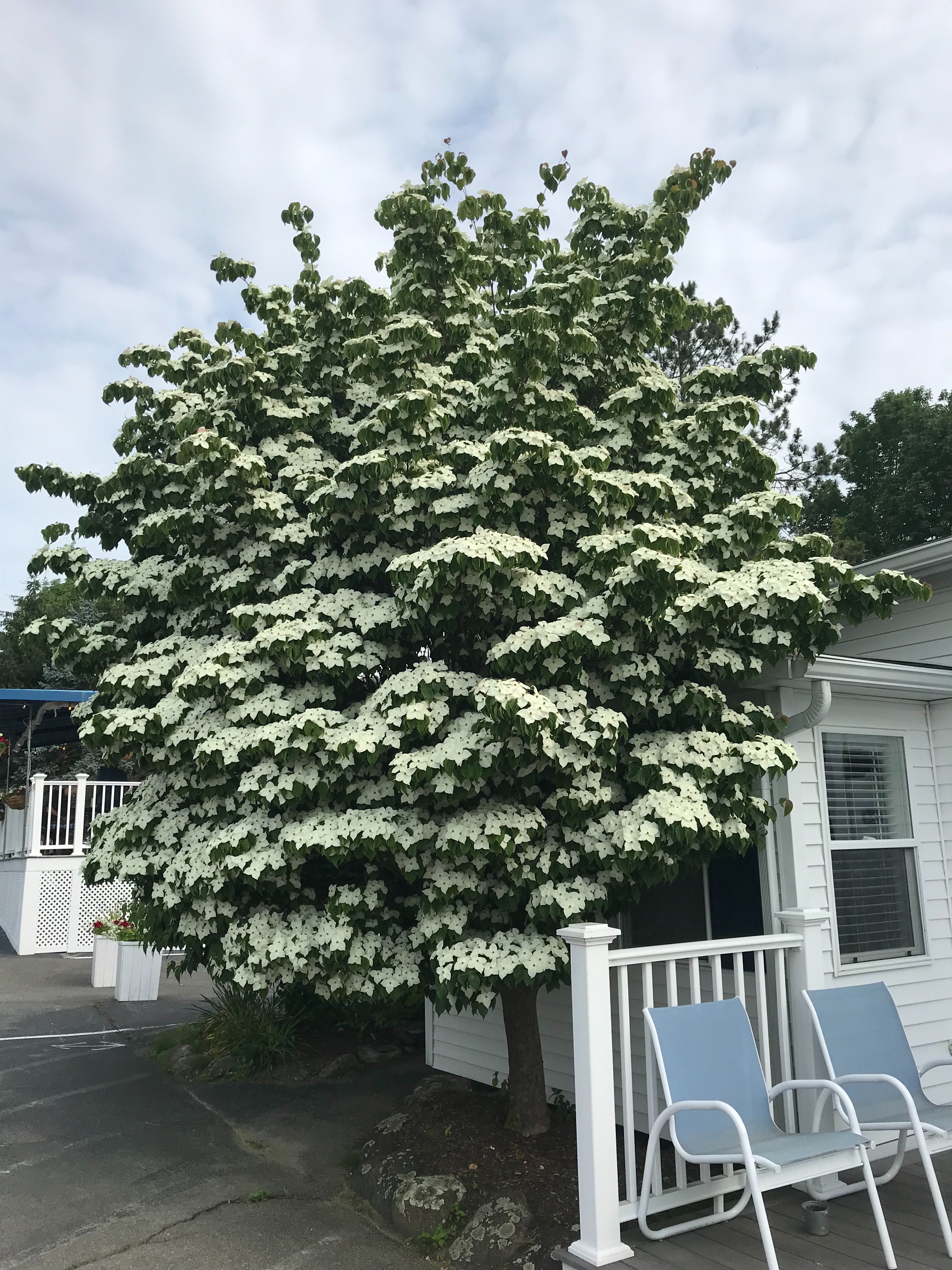 Glen Cove Inn And Suites-浴室