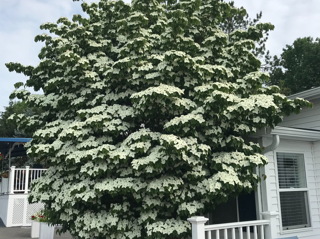 Glen Cove Inn And Suites主图