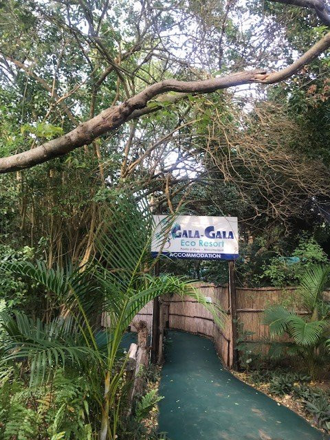 Gala Gala Eco Resort主图