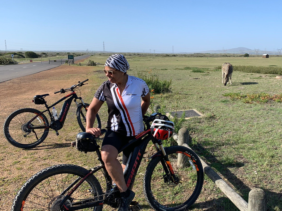 Koeberg Private Nature Reserve-Green Point必去景点