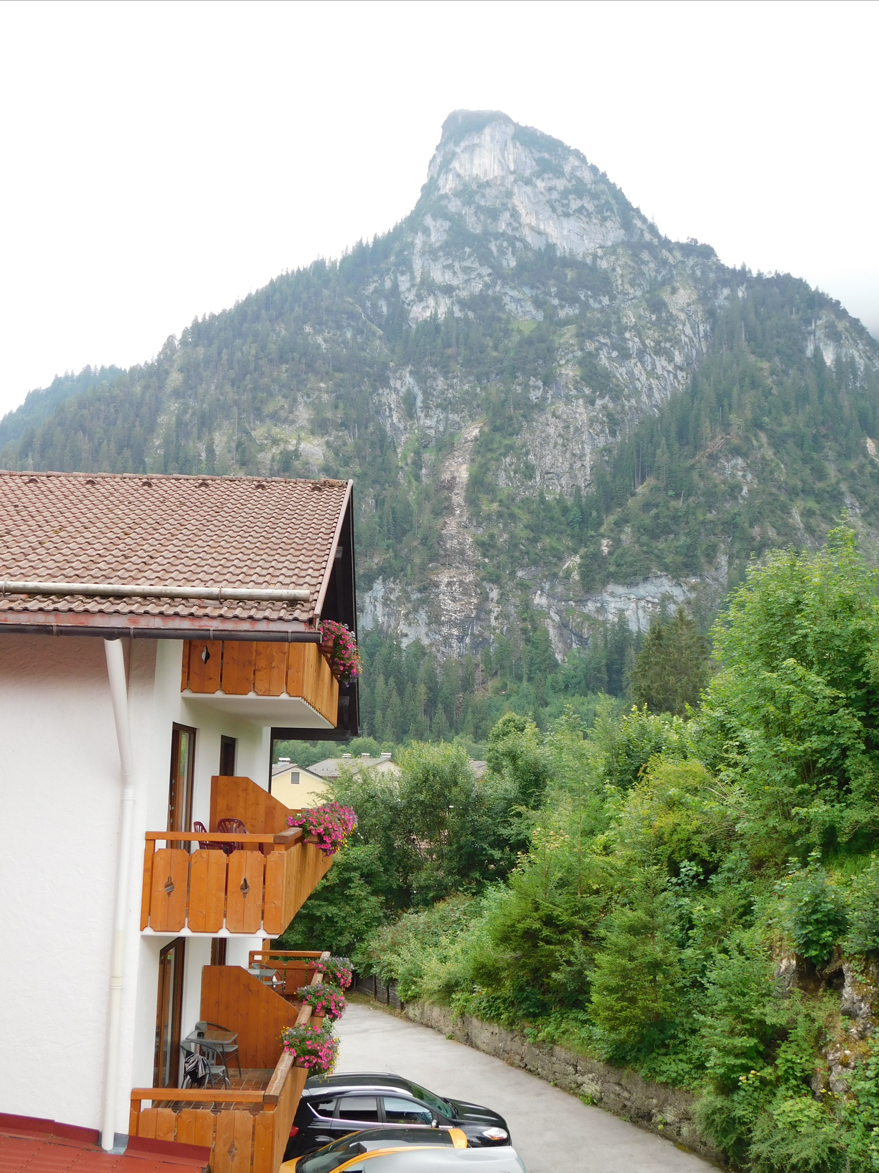 Parkhotel Sonnenhof-酒店景观