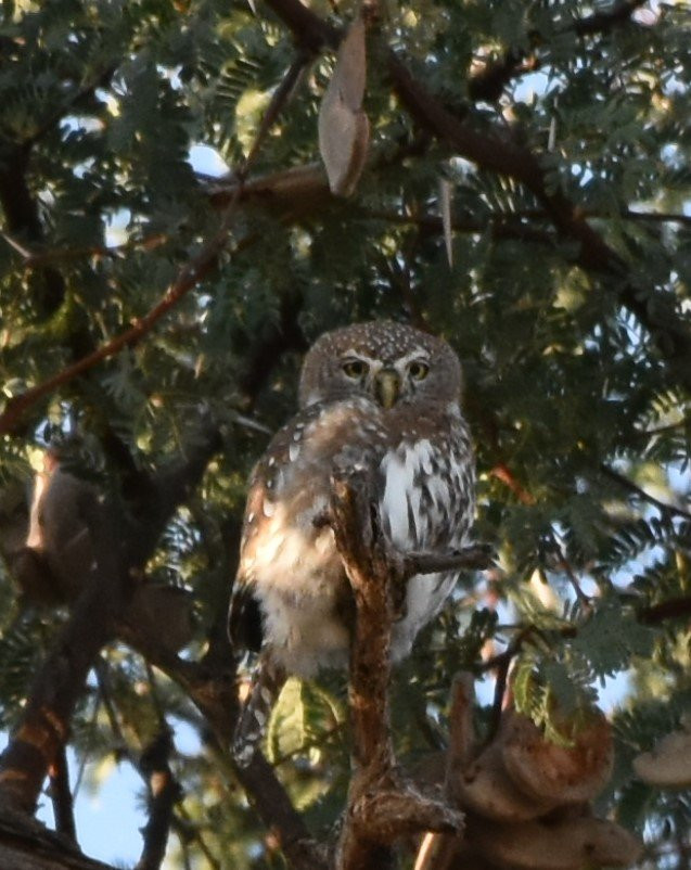 Kristall Kellerei-Omaruru必去景点