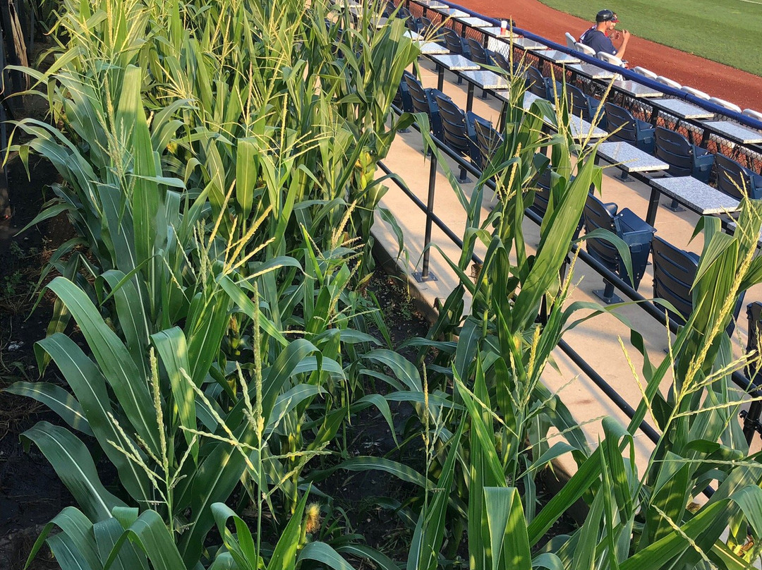 Modern Woodmen Park-达文波特必去景点