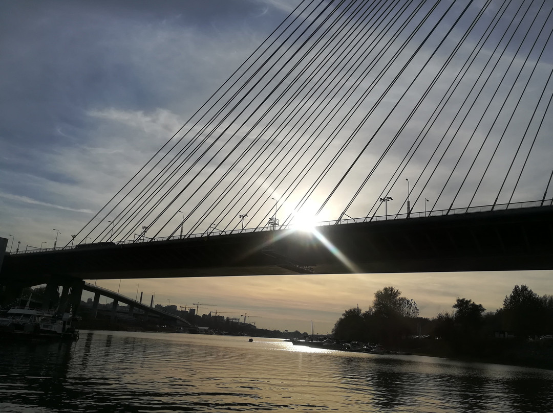 Sava Bridge-贝尔格莱德必去景点