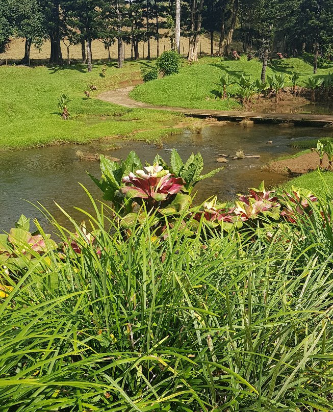 Domaine de l'Etoile-Sebastopol必去景点